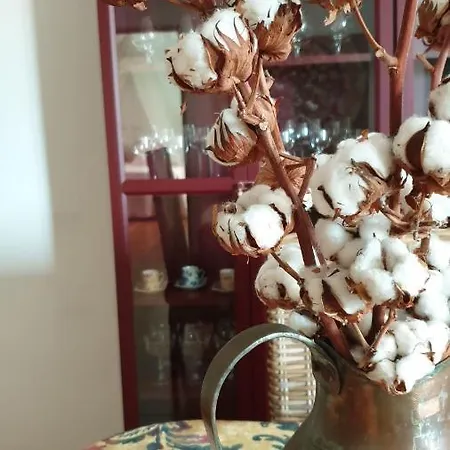 Dom wakacyjny Casa Blas