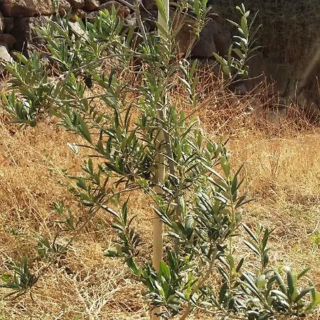 Casa Blas Dom wakacyjny